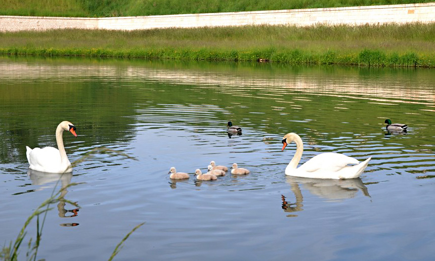 Soyez sage, les enfants. 