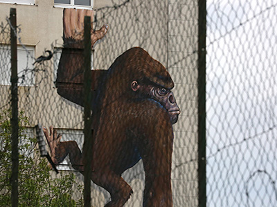 Le monstre a d�chir� sa cage devant les yeux de Michel. 